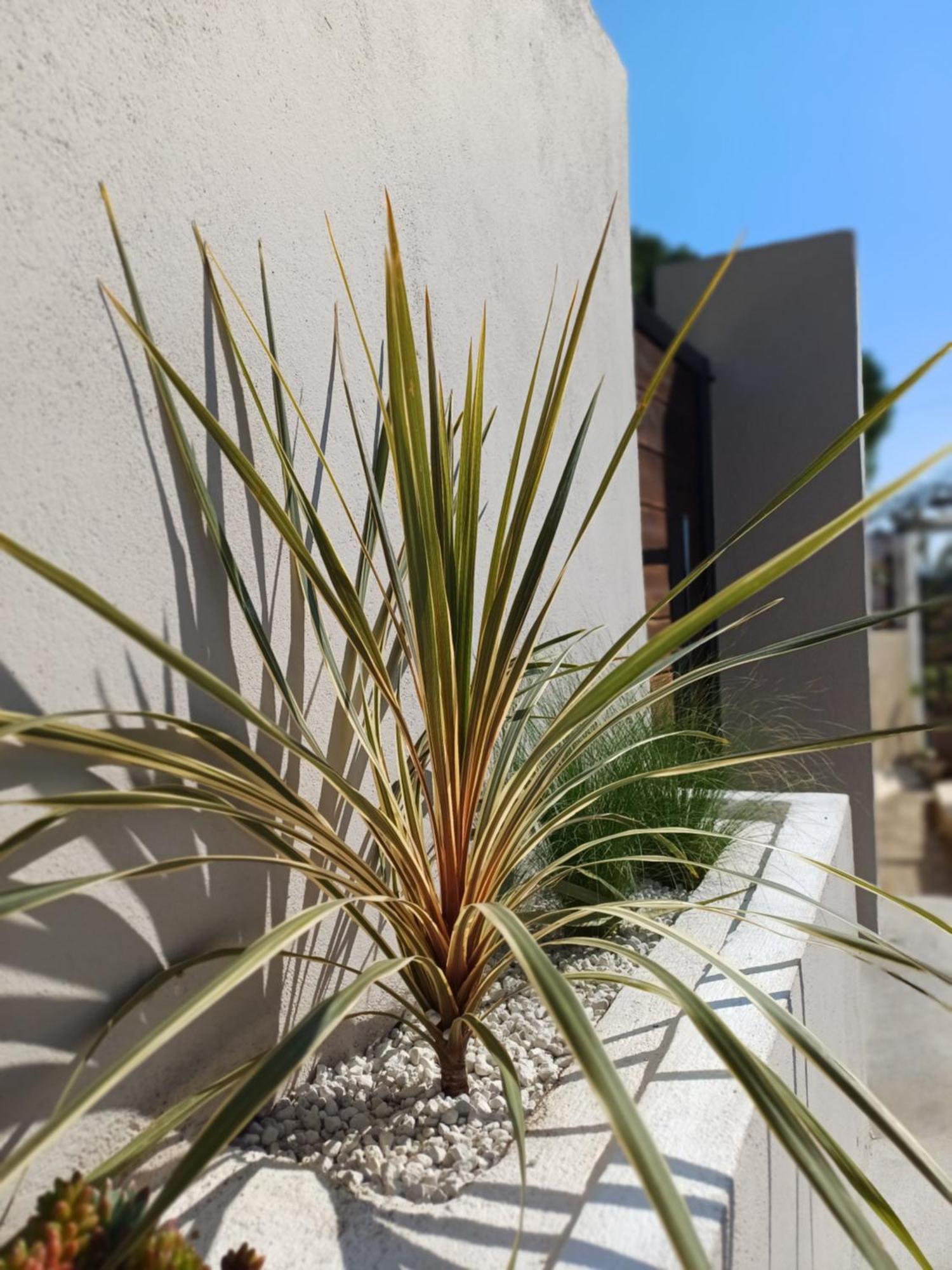 Abelaki Holiday Home Paramonas  Exterior foto